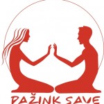 Pazink save